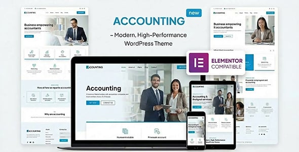 Accounting dizájn előnézete